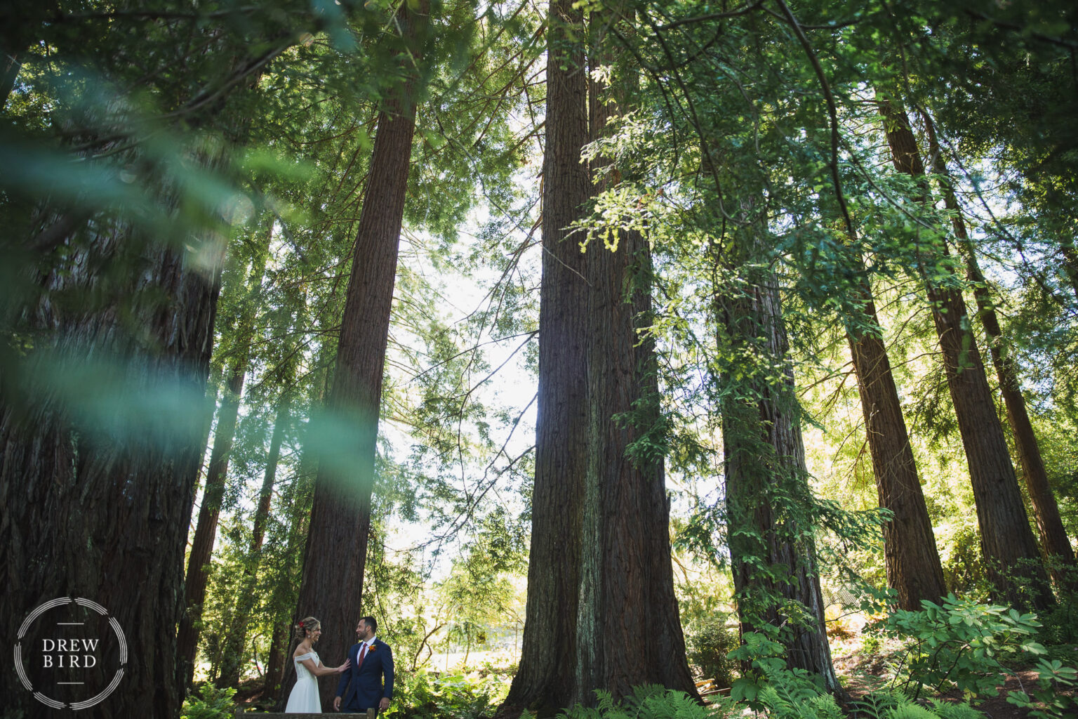 Brazilian Room Wedding Photos. Berkeley, California Photographer.