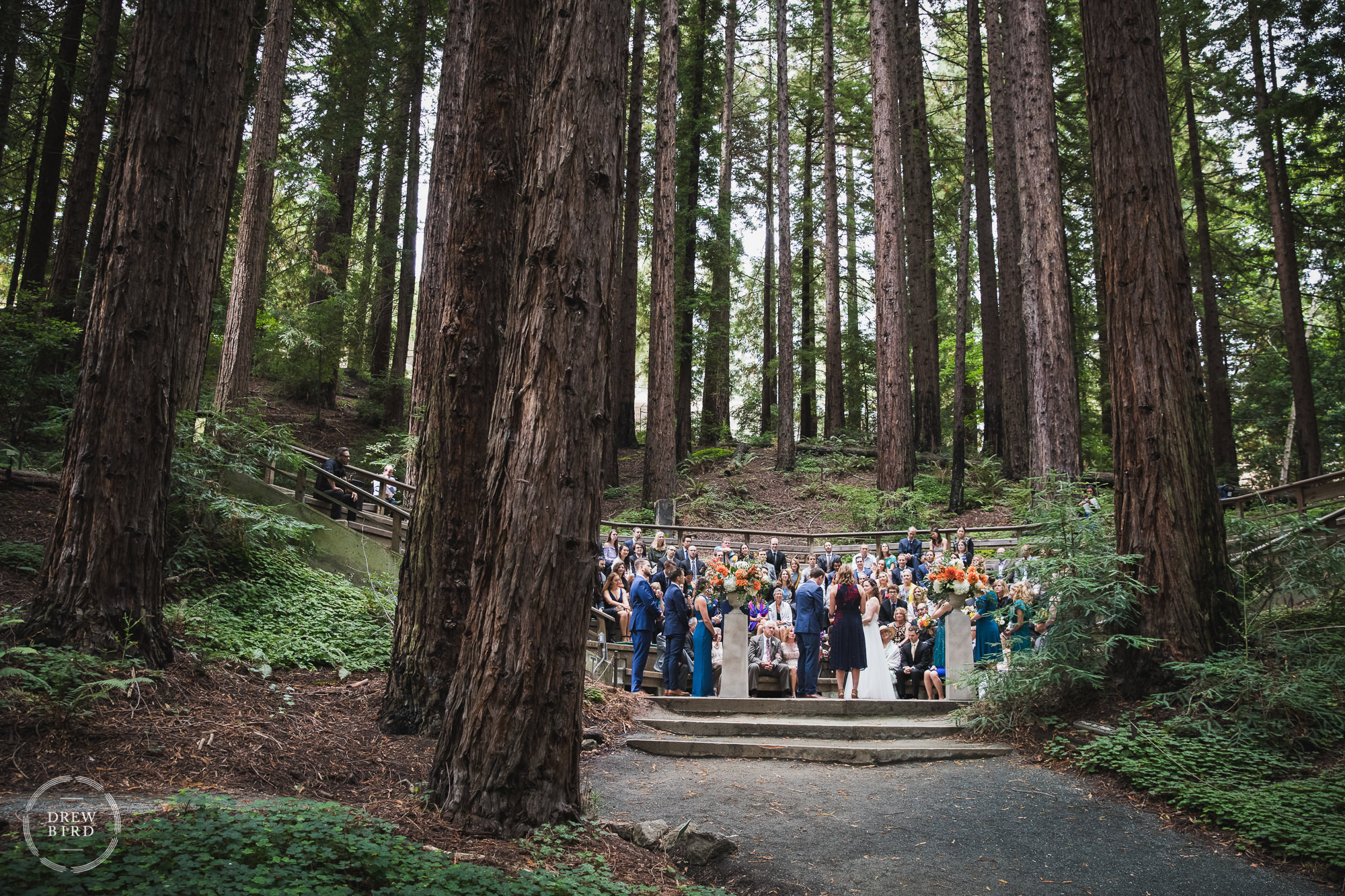UC Botanical Gardens redwood forest wedding ceremony in Berkeley, California.