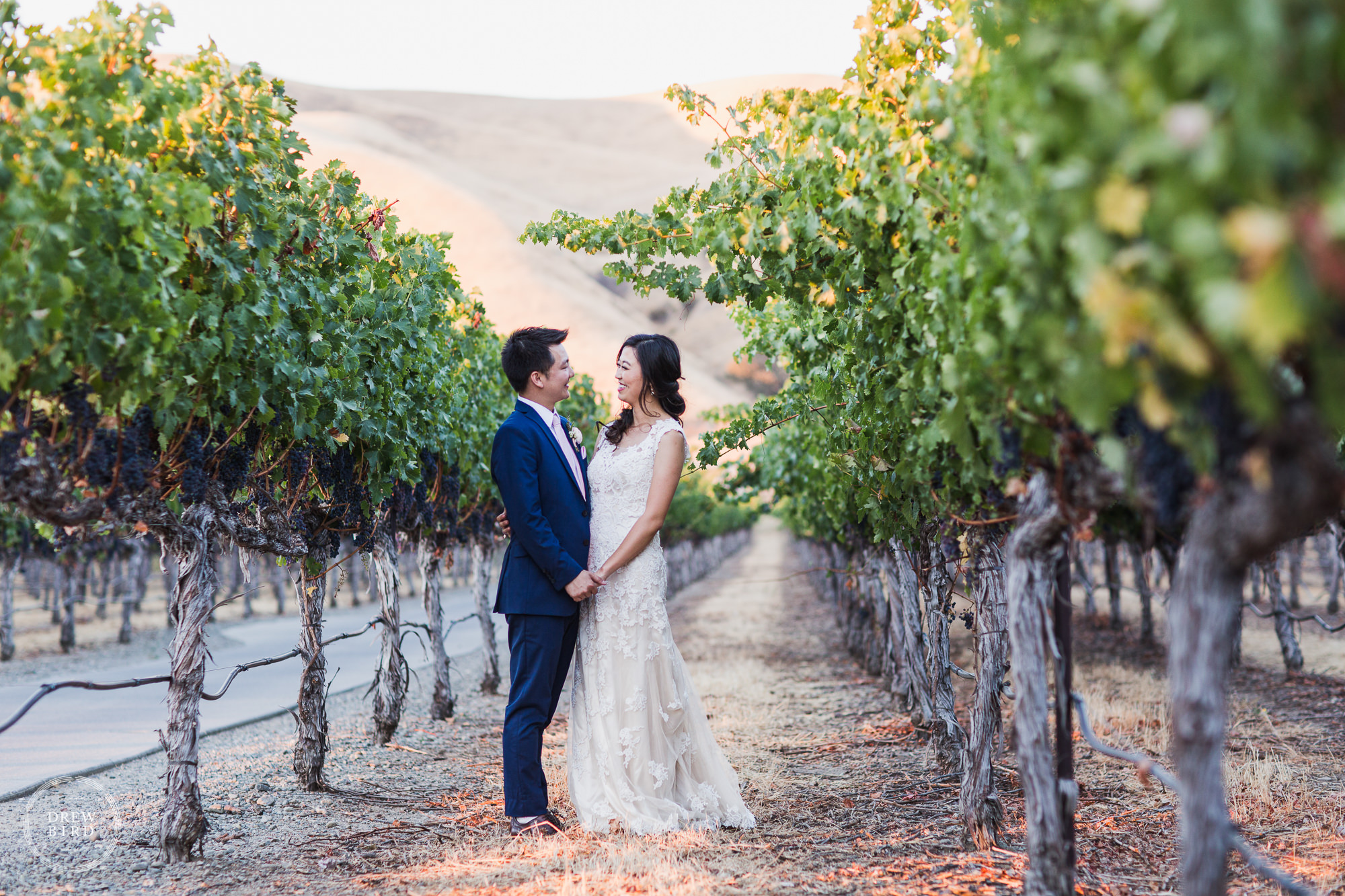 Bride and groom portrait in grape vines. Wente Vineyard wedding venue in Livermore, California.
