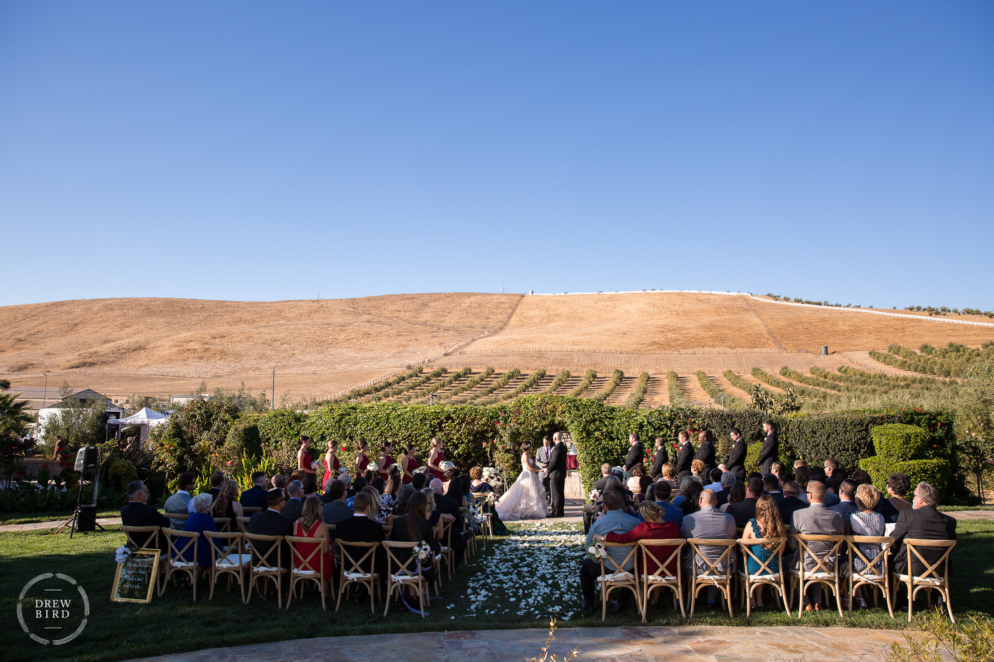 Vineyard wedding ceremony at the Purple Orchid in Livermore, California.
