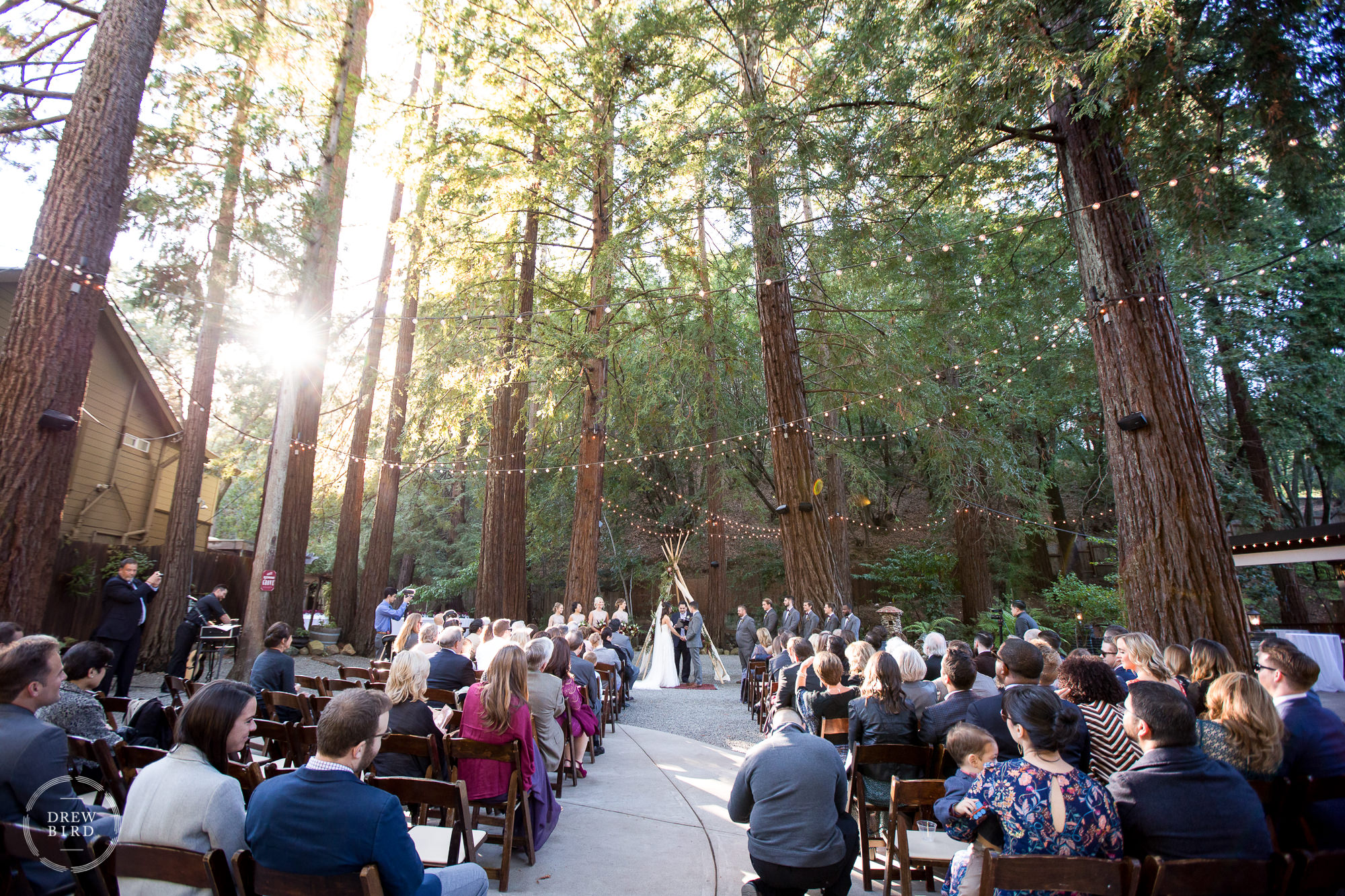 Wedding ceremony in redwood trees at Deer Park Villa. Marin county wedding venue.