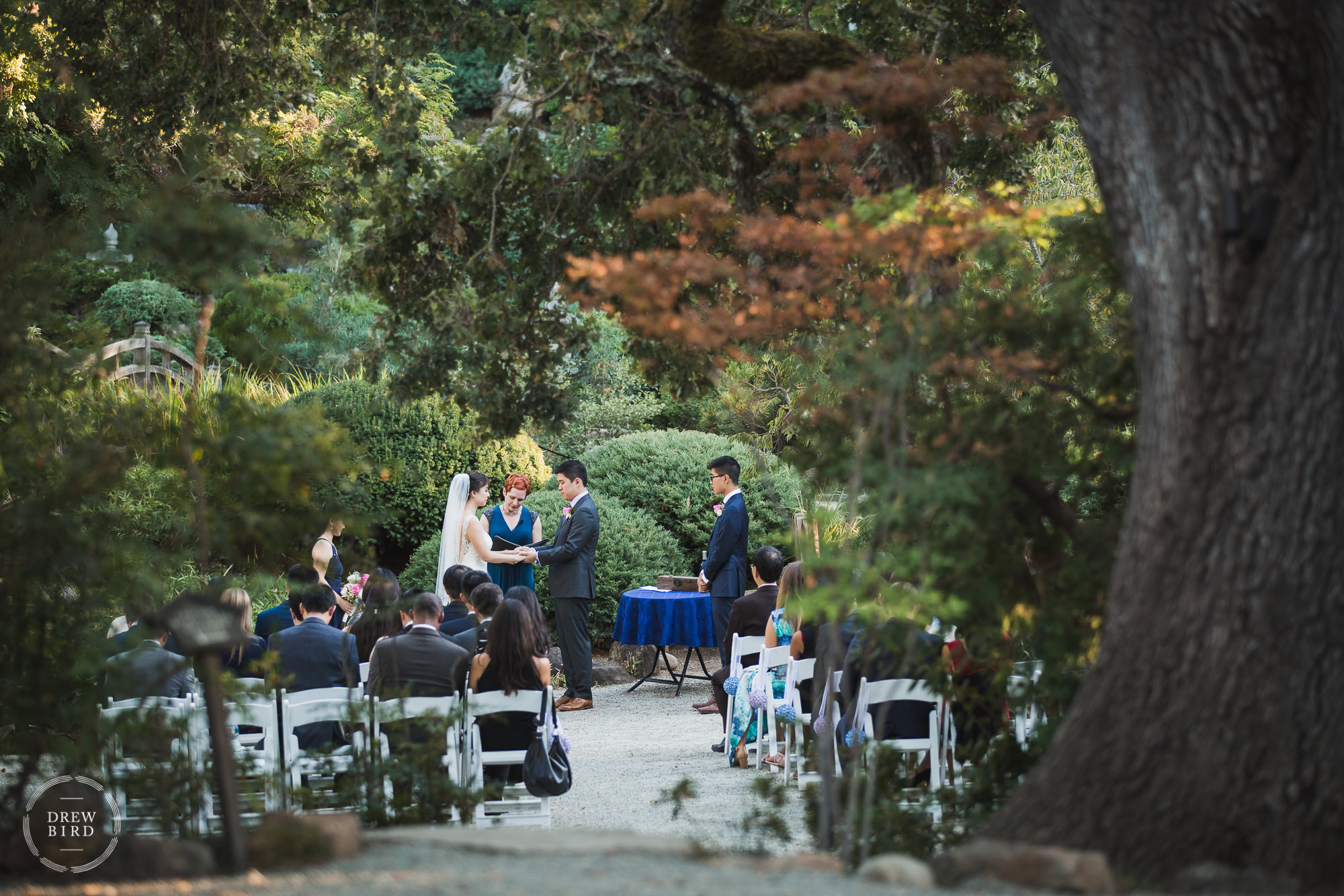 Micro wedding ceremony in a beautiful Japanese garden. Hakone Gardens wedding venue in Saratoga, CA.