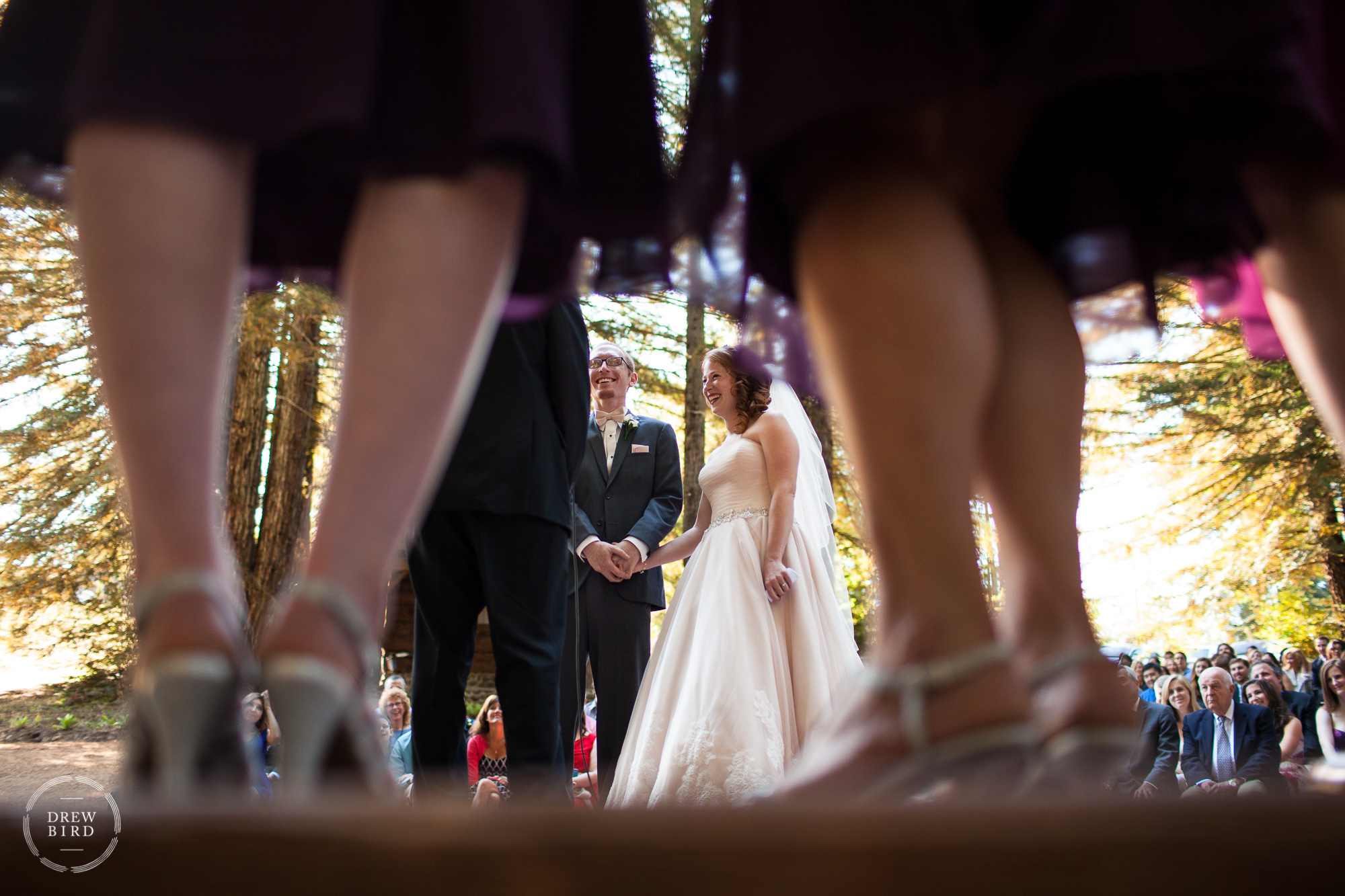 Bride and groom during redwood forest wedding ceremony. The Grove & Occidental Union Hotel Sonoma wedding venue.