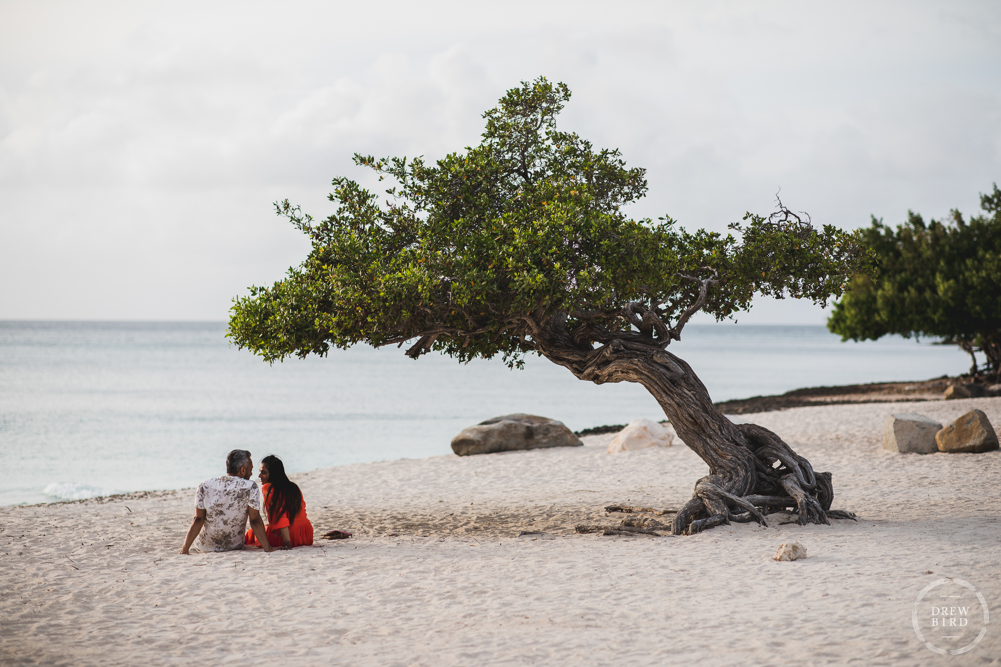 Indian wedding couple sitting on a pristine beach under the iconic Divi-divi tree at Eagle Beach near Oranjestad, Aruba. A hindu destination wedding photography story.