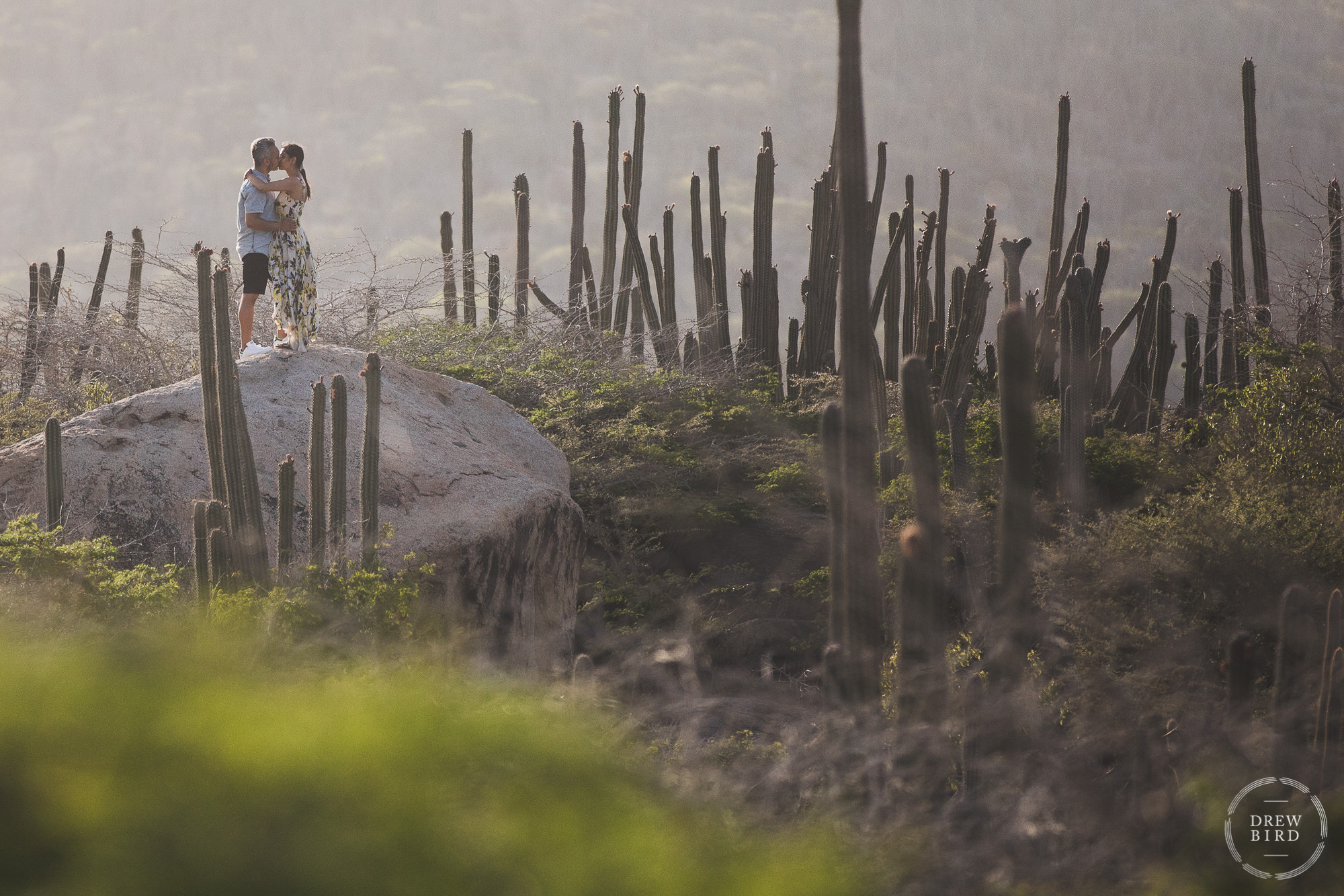 Hindu wedding bride and groom kissing on top of a rock surrounded by cactus for Indian destination wedding photography story in Aruba.