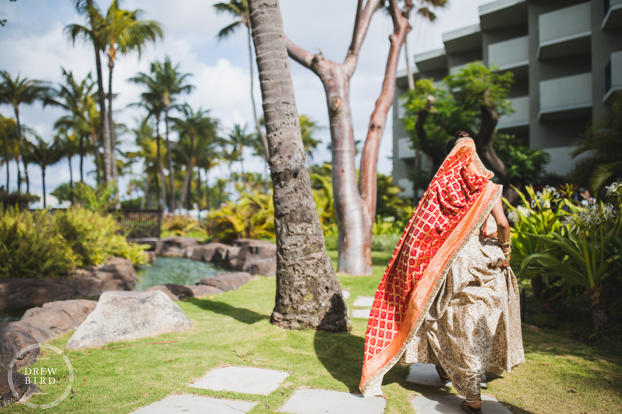 The bride in her vibrant red Hindu wedding dress walks along a path amongst tropical palm trees and a flowing creek for an Indian wedding photography session and the first look at the Hilton Aruba resort in the Caribbean by destination wedding photographer Drew Bird.