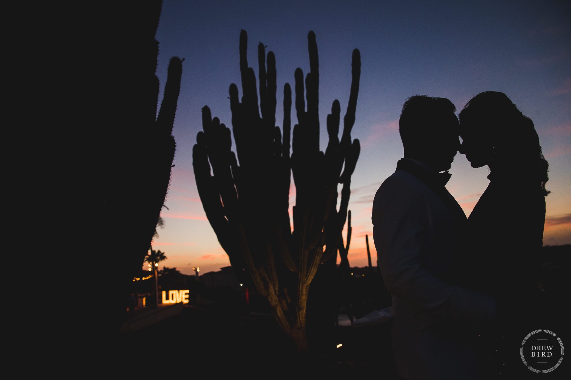 A very creative and artistic wedding portrait with the bride and groom standing together and silhouetted by the sunset so that their heads together make the shape of a heart. The word love can be seen in the distance through silhouettes of giant cactus plants. Indian wedding reception photos at Tierra del Sol in Aruba.