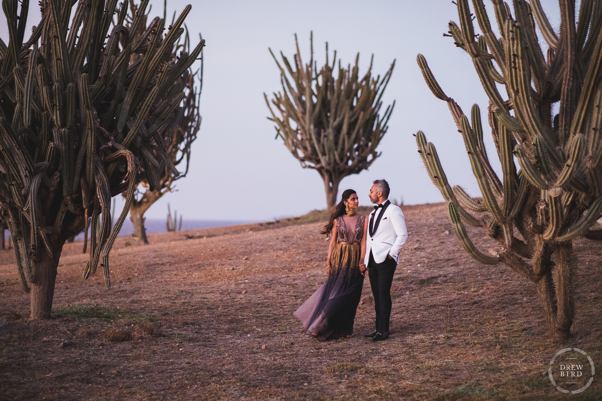 An indian wedding bride and groom dressed in western evening attire, a beautiful cocktail dress and a white jacket tuxedo, stand for a wedding portrait amongst giant cactus at Tierra del Sol on the Caribbean Island of Aruba by destination wedding photographer Drew Bird.
