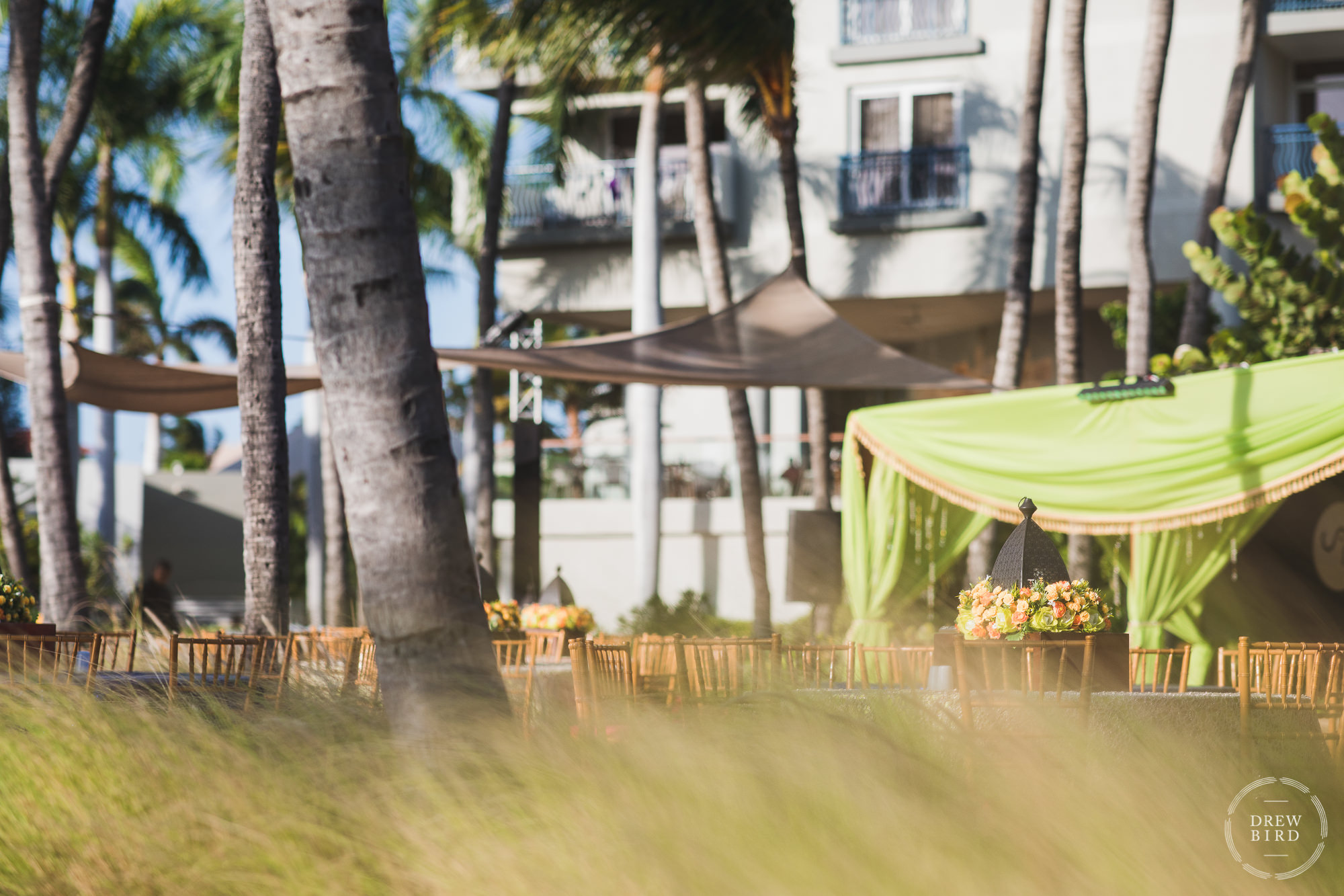 An artistic photograph showing welcome party tents and decor through long native grasses for an Indian and Hindu destination wedding photography story at the Hilton Aruba Resort on the Caribbean island of Aruba.